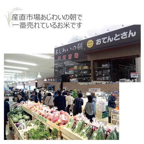 国内産 オリジナルブレンド米 日本の味 お米 (10kg) image 3