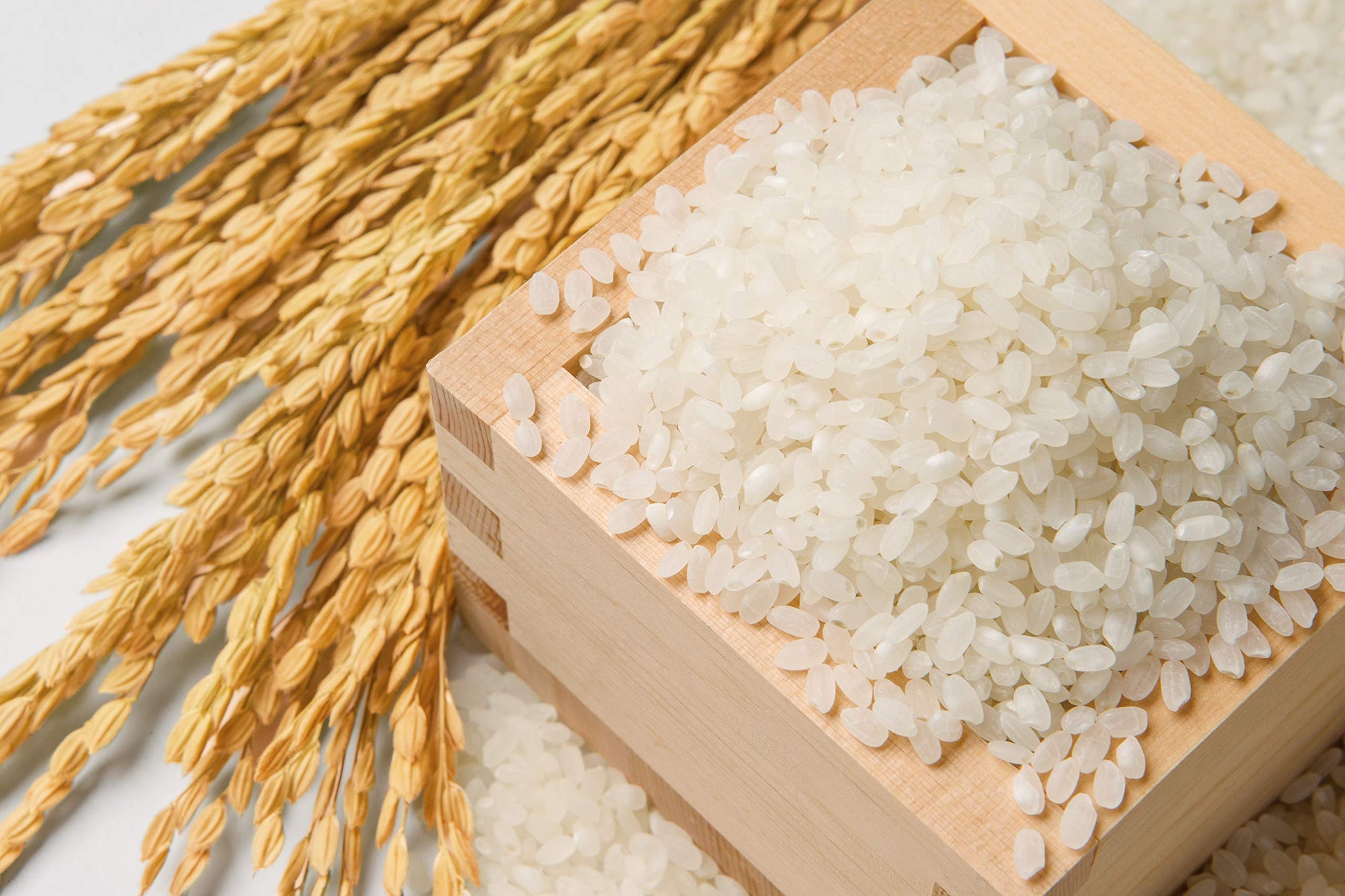 おくさま印 【精米】新潟県北越後産 特別栽培米白米 こしひかり 5kg 令和6年産 image 3
