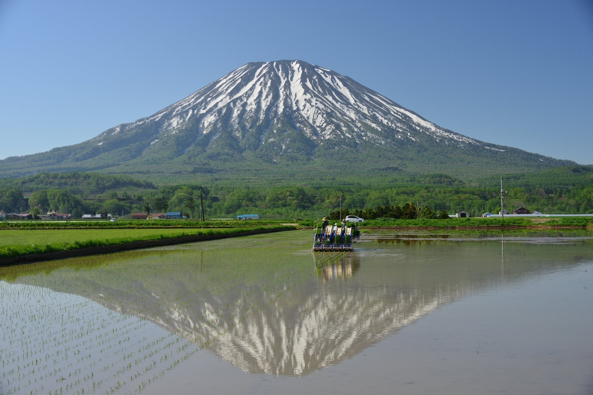 パールライス 北海道産 無洗米 ななつぼし 5kg 令和6年産 image 2