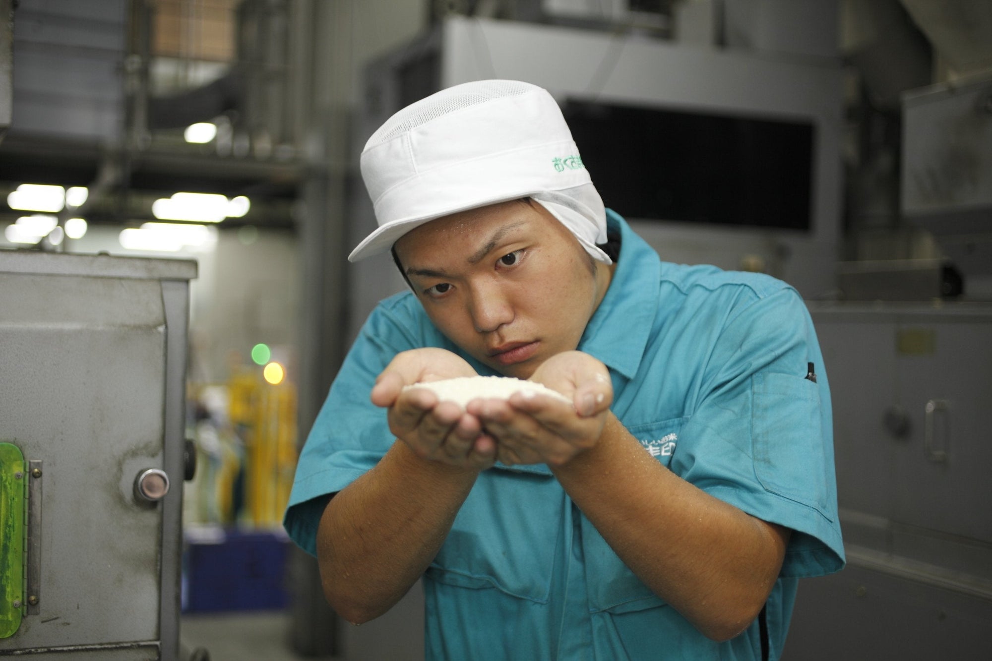 おくさま印 【精米】新潟県北越後産 特別栽培米白米 こしひかり 5kg 令和6年産 image 4