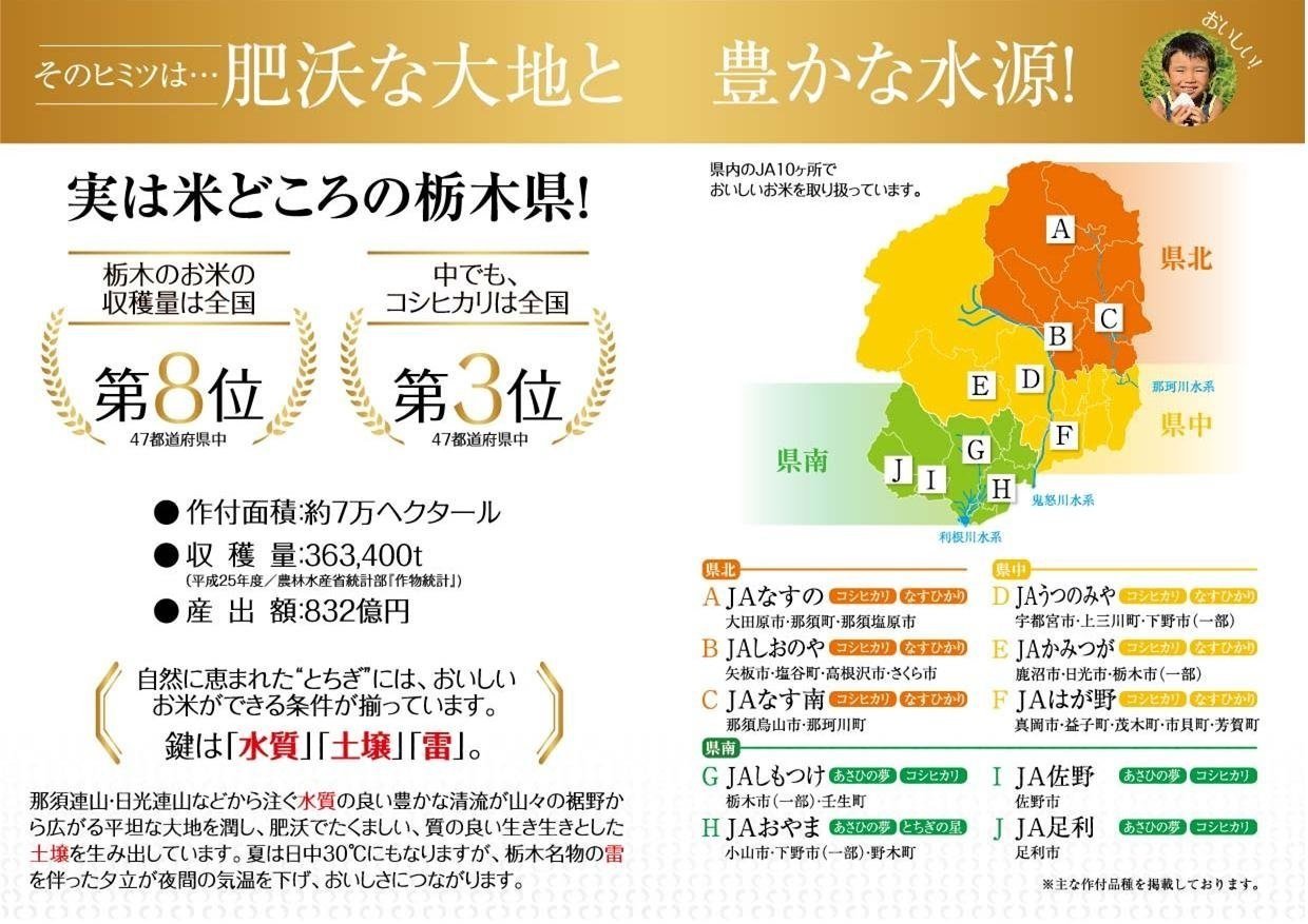 パールライス 栃木県産 無洗米 とちぎの星 5kg 令和6年産 image 3